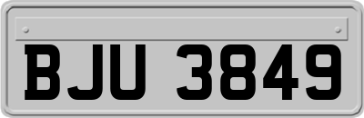 BJU3849