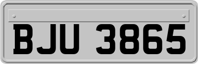 BJU3865