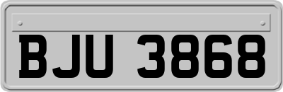 BJU3868