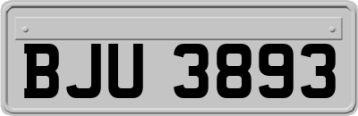 BJU3893