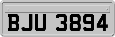 BJU3894