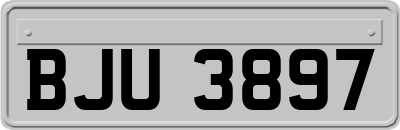 BJU3897
