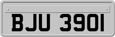 BJU3901