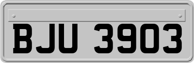 BJU3903