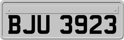 BJU3923
