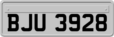 BJU3928