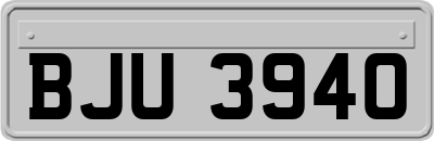 BJU3940