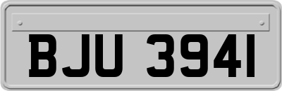 BJU3941