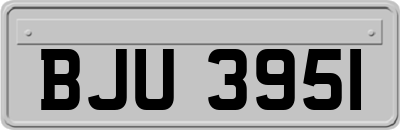 BJU3951