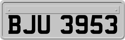 BJU3953