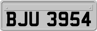 BJU3954