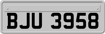 BJU3958