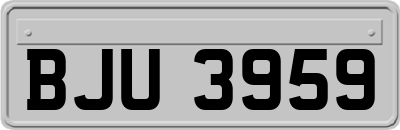 BJU3959