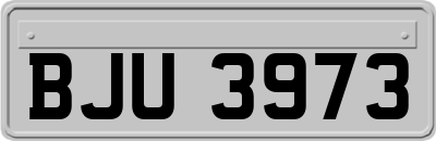 BJU3973