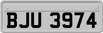 BJU3974