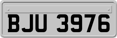 BJU3976