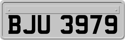 BJU3979