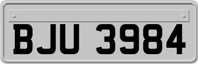 BJU3984