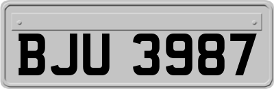 BJU3987