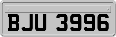 BJU3996