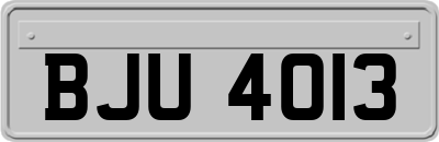 BJU4013