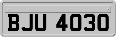 BJU4030