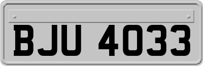 BJU4033