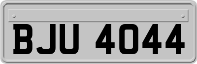 BJU4044