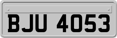 BJU4053