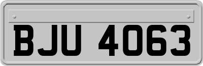 BJU4063