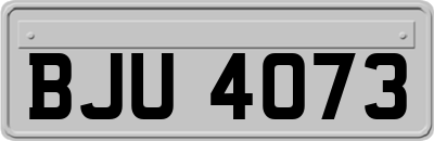 BJU4073
