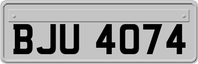 BJU4074
