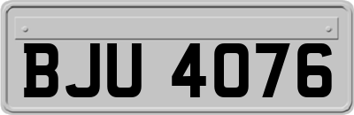 BJU4076