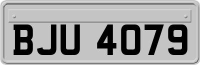 BJU4079