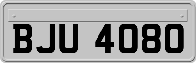 BJU4080