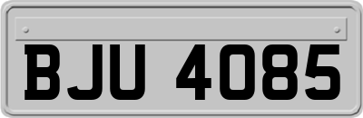 BJU4085