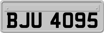 BJU4095