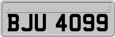 BJU4099