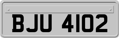 BJU4102