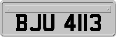 BJU4113