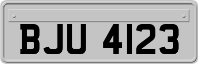 BJU4123