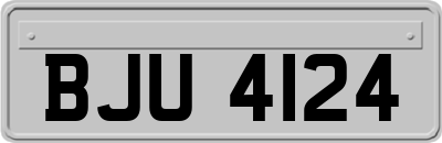 BJU4124