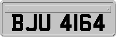 BJU4164