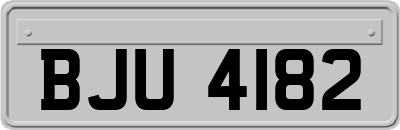 BJU4182