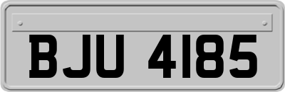 BJU4185