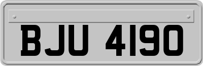 BJU4190