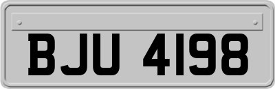 BJU4198