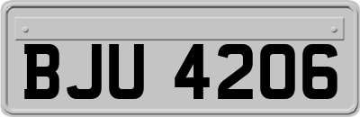 BJU4206