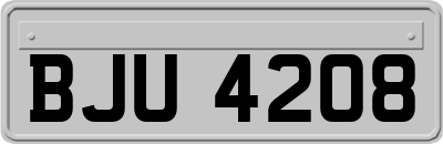 BJU4208