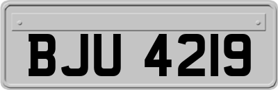BJU4219